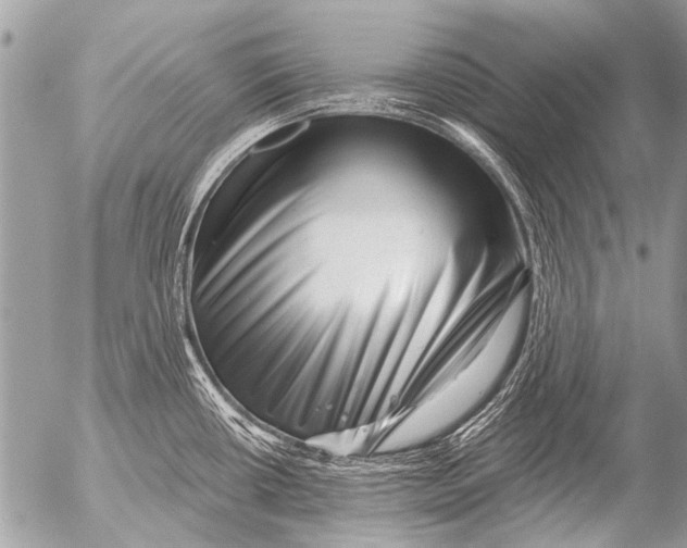 X0000054461434200508270053