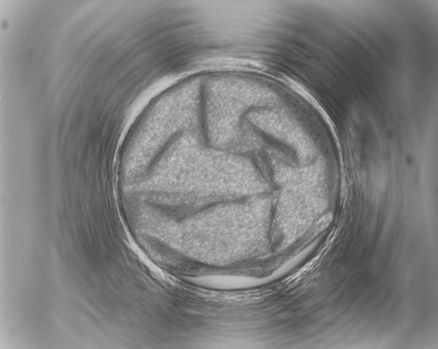 X0000054461437200508270053
