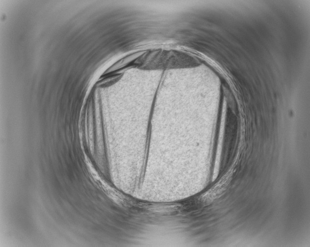 X0000054461440200508270053