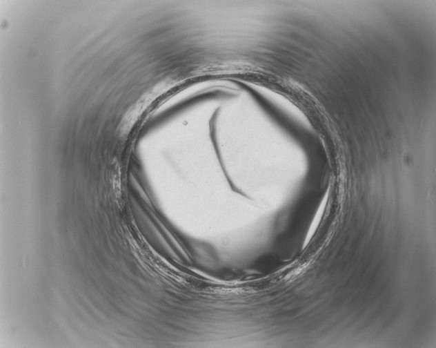X0000054461457200508270052