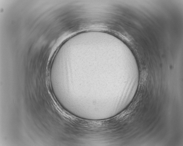 X0000054461470200508270052