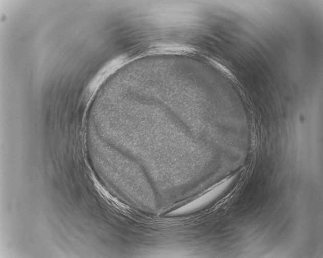 X0000054461471200508270052