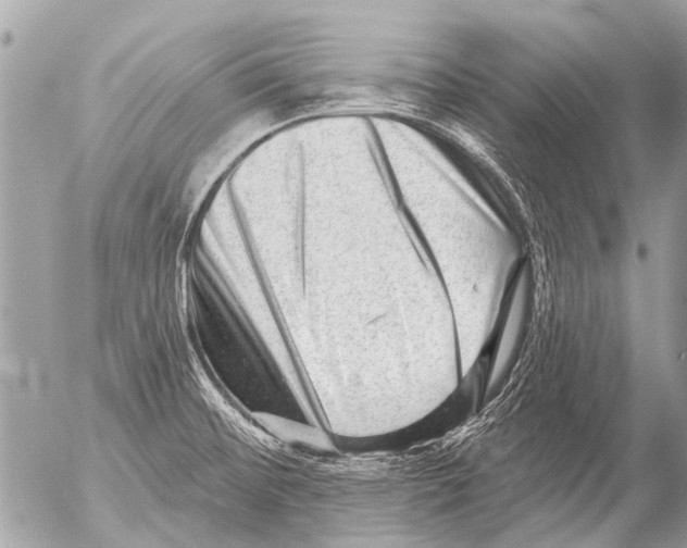 X0000054461476200508270051