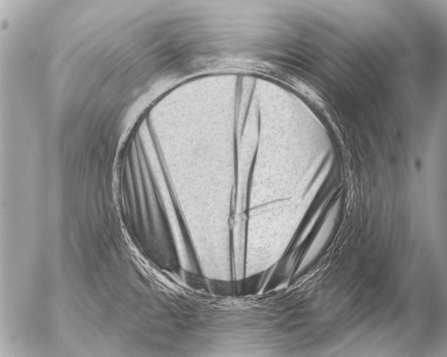 X0000054461480200508270051