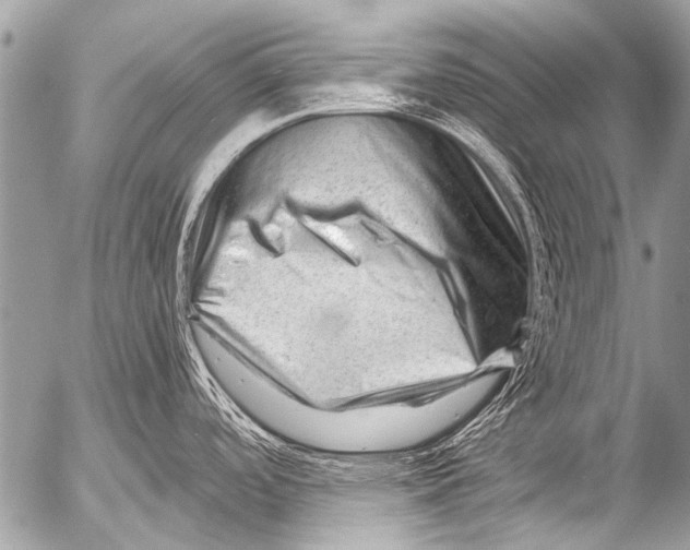 X0000054461488200508270051