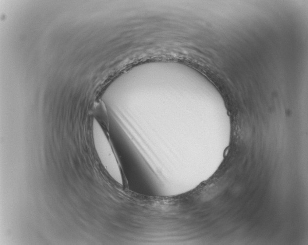X0000054461490200508270050