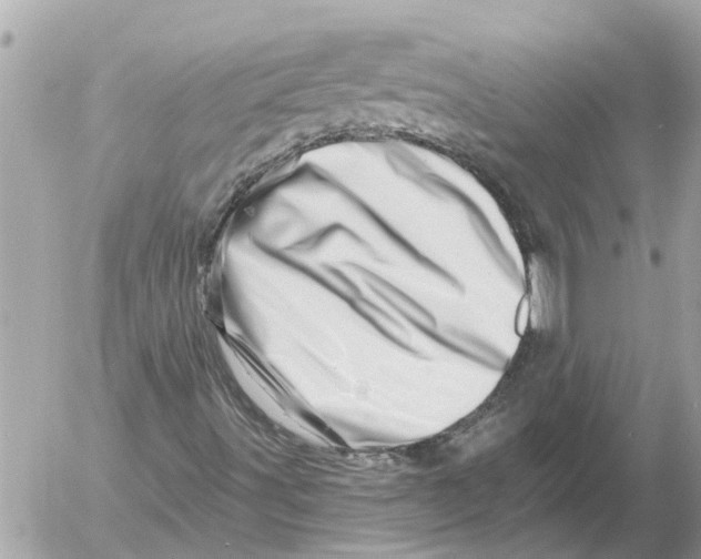 X0000054461491200508270051