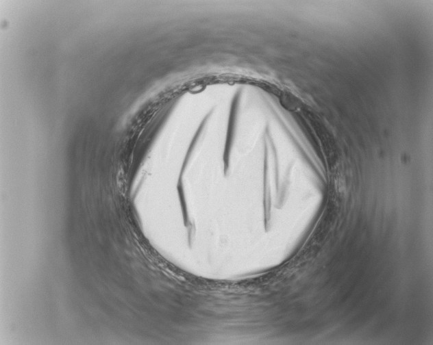 X0000054461495200508270051