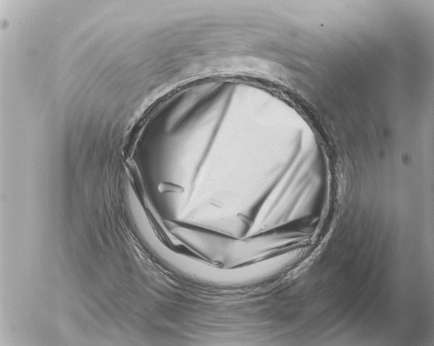 X0000054461497200508270051