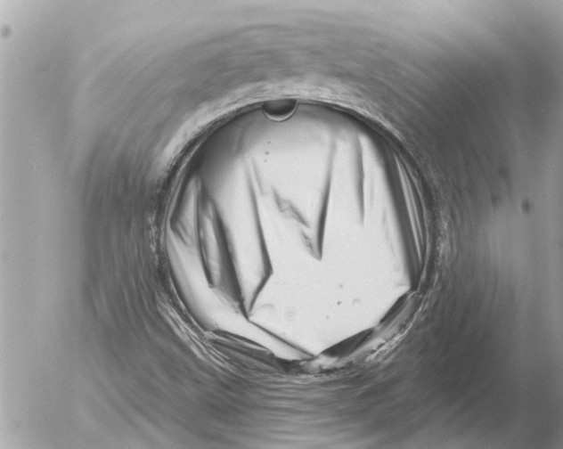 X0000054461499200508270051
