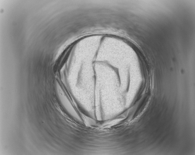 X0000054461501200508270051