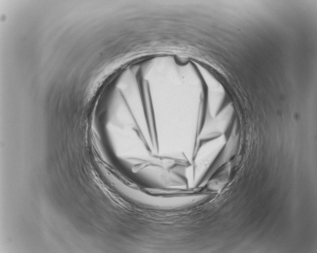 X0000054461507200508270051