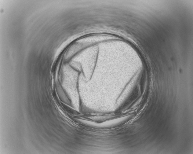 X0000054461509200508270051