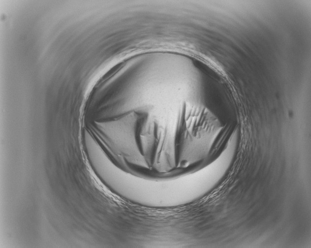 X0000054461528200508270051