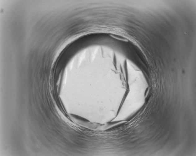 X0000054461531200508270051