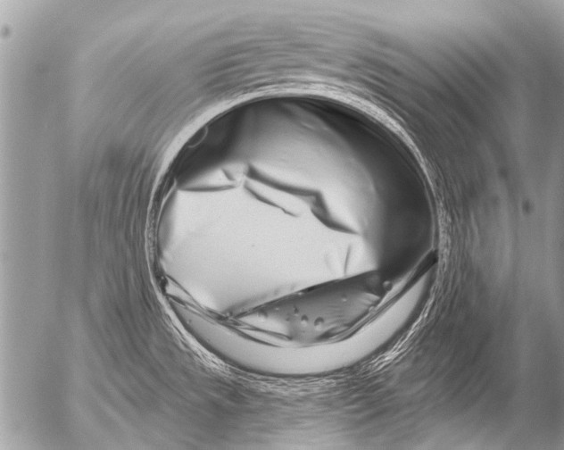 X0000054461533200508270051