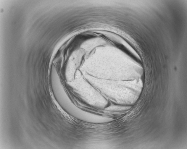 X0000054461536200508270051