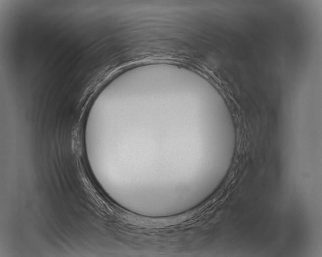 X0000054470002200507291059