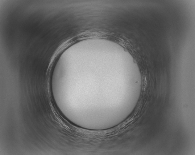 X0000054470004200507291059