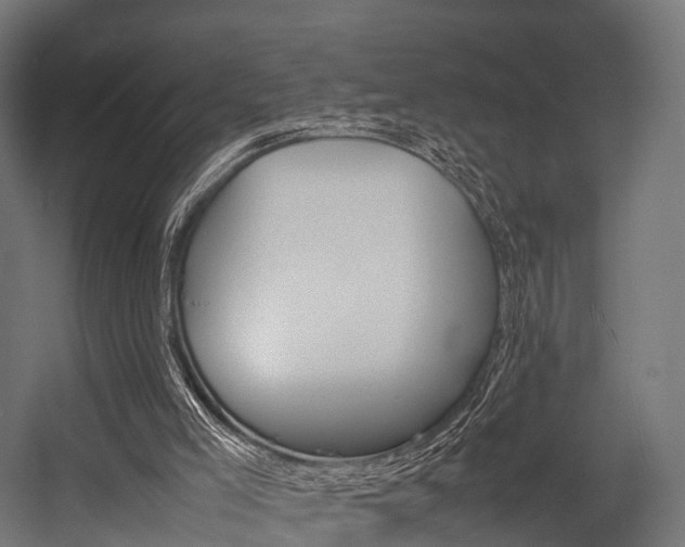 X0000054470005200507291059