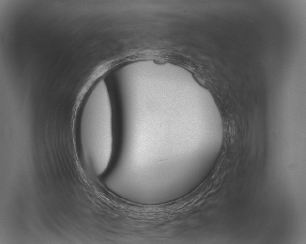X0000054470006200507291059