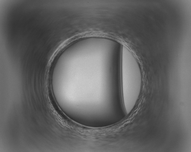 X0000054470007200507291059