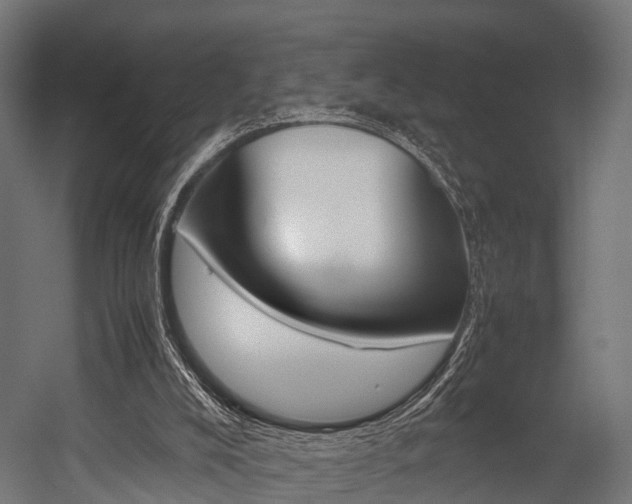 X0000054470008200507291059