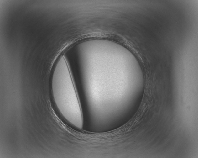 X0000054470011200507291059