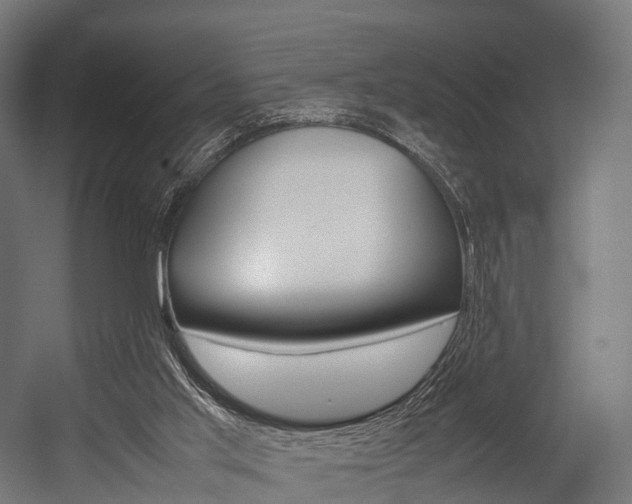X0000054470013200507291059