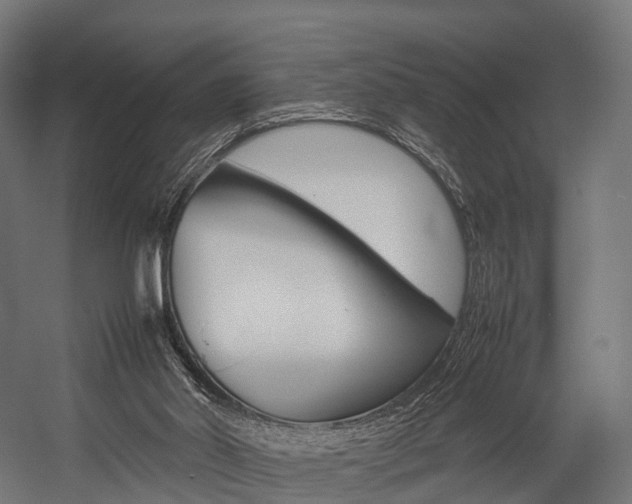 X0000054470014200507291059