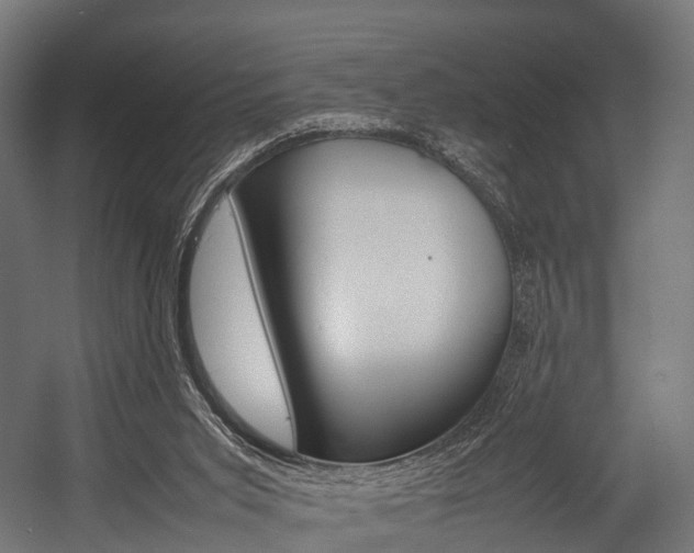 X0000054470015200507291059