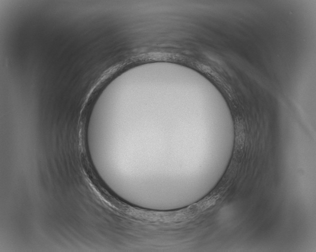 X0000054470016200507291059