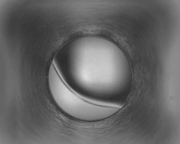 X0000054470017200507291059