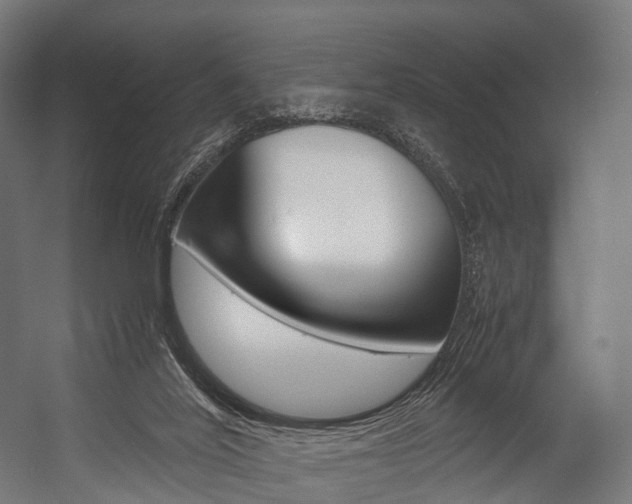 X0000054470020200507291059
