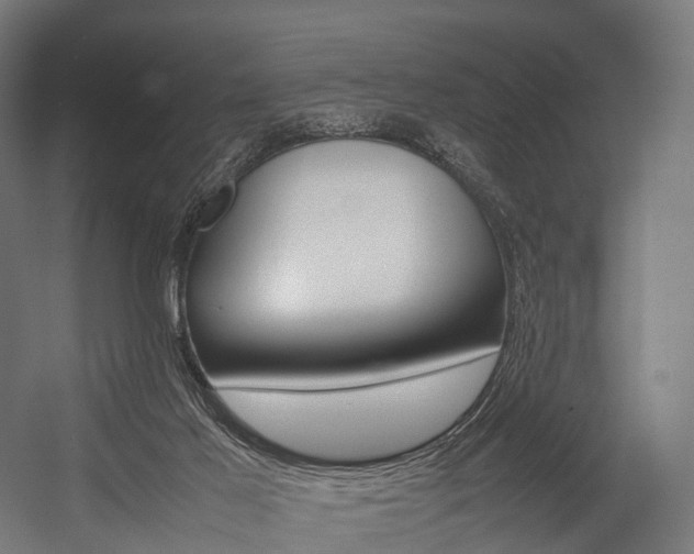 X0000054470021200507291059