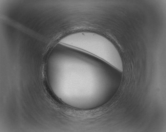 X0000054470023200507291059