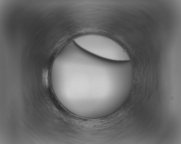 X0000054470024200507291059