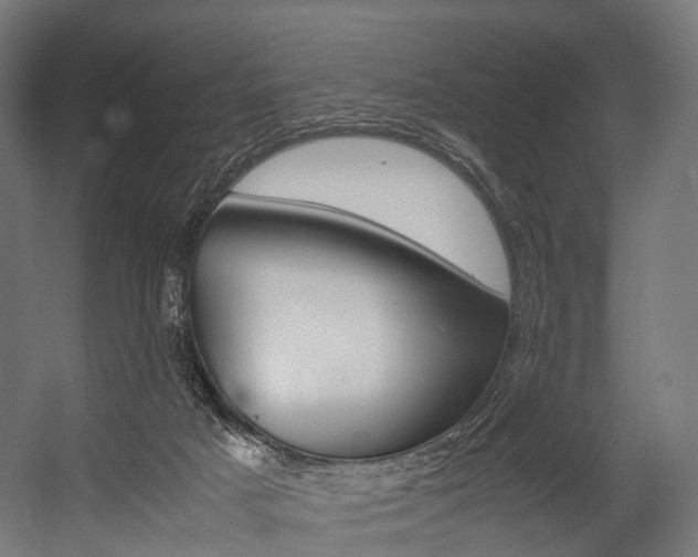 X0000054470025200507291059