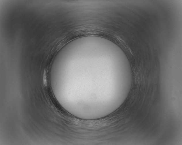 X0000054470026200507291059