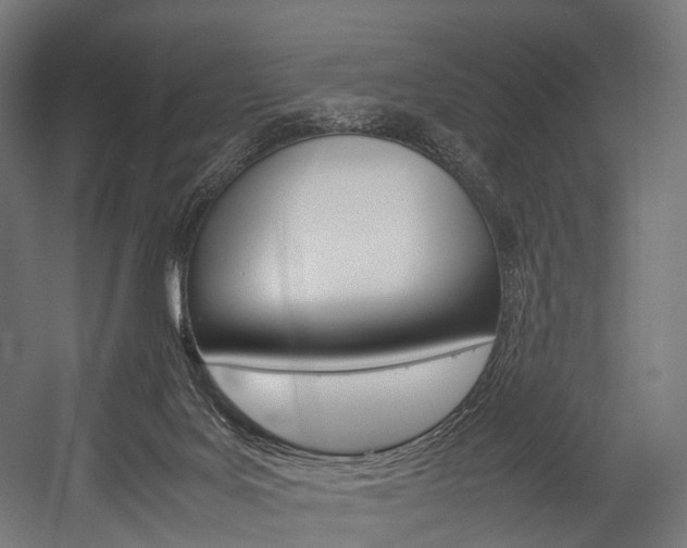 X0000054470027200507291059