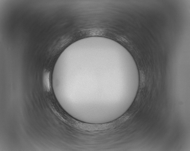 X0000054470028200507291059