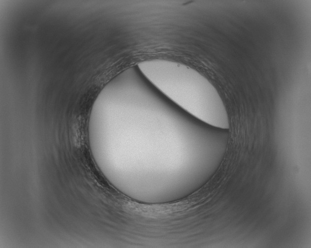 X0000054470030200507291059