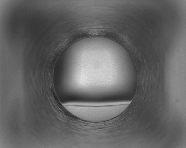X0000054470031200507291059