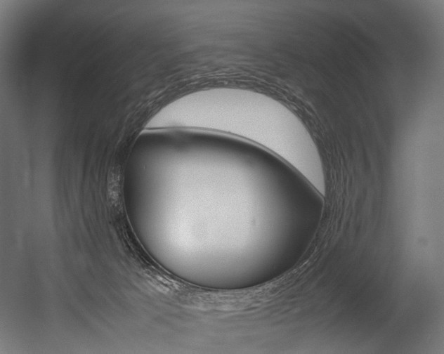 X0000054470033200507291059