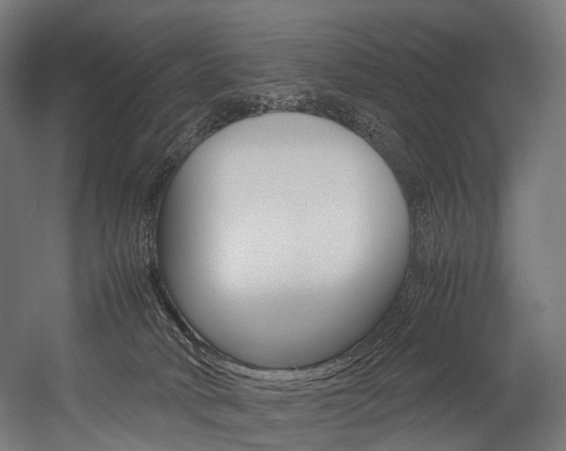 X0000054470034200507291059
