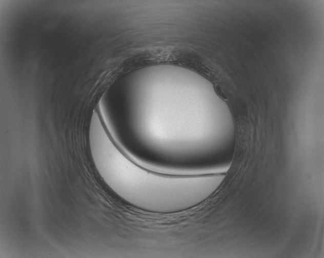 X0000054470035200507291059