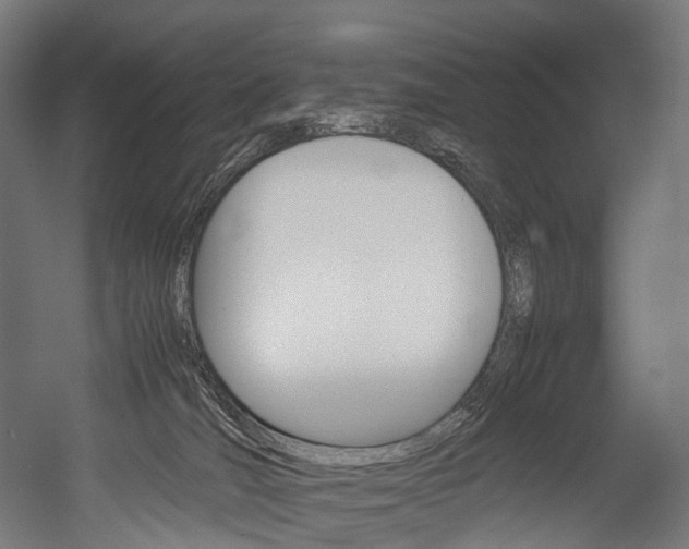 X0000054470036200507291059
