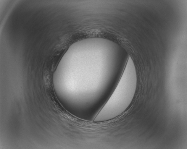 X0000054470037200507291059