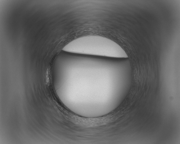 X0000054470038200507291059