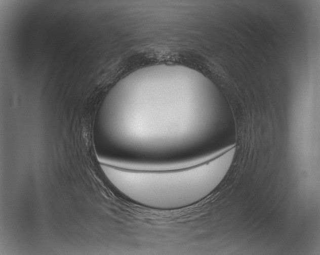 X0000054470039200507291059